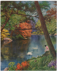 Restful Waters swans woman